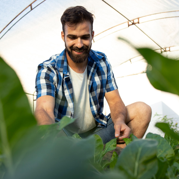 agrea-angrais-granule-nantes